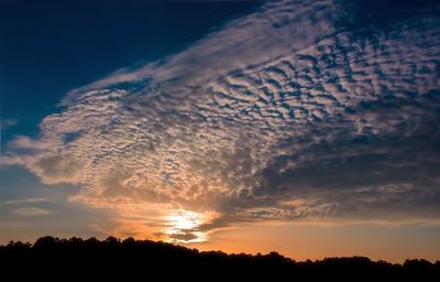 Low angle view of silhouette trees against sky during sunset