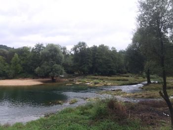 Scenic view of river against sky