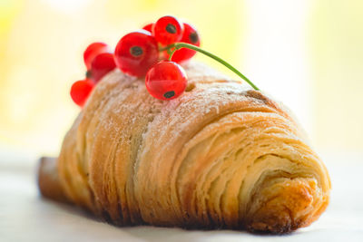Close-up of red chili peppers in plate
