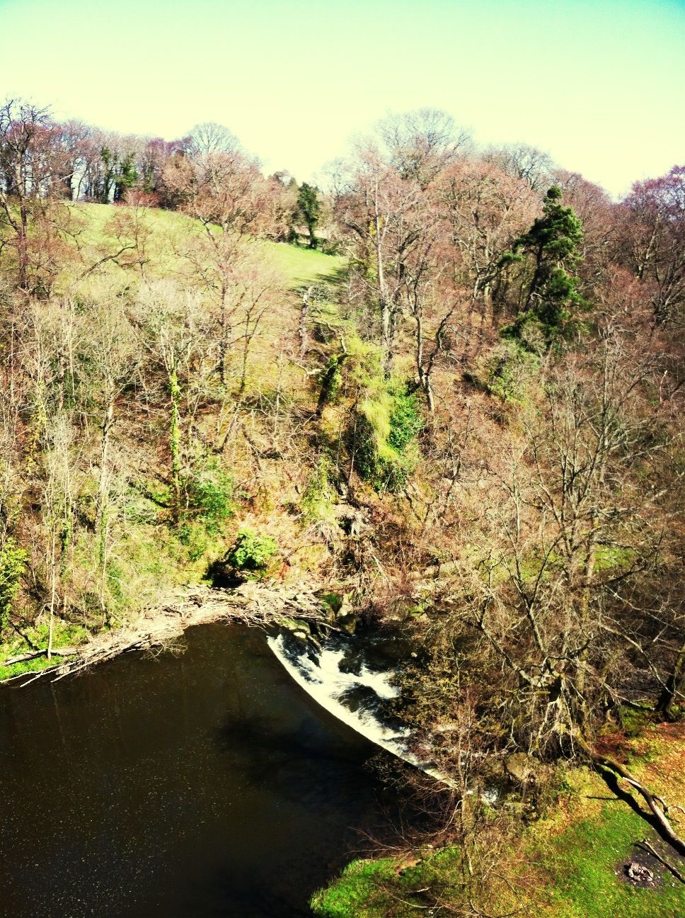 Muiraivonside Country Park