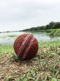 Close-up of fresh ball on field