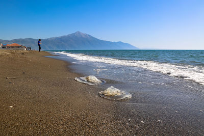 Scenic view of sea against clear sky