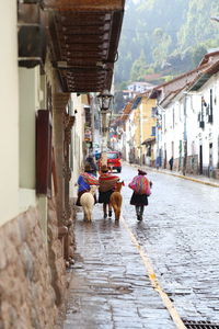 Rear view of people walking on street in city