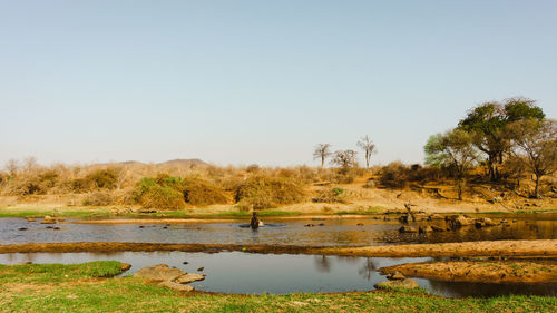 Scenic view of lake against clear sky