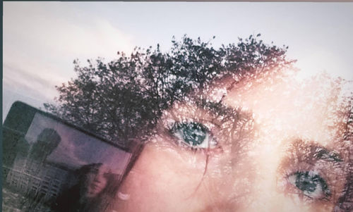 Close-up portrait of tree against sky during winter