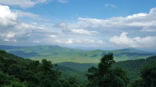 View of green mountains in forest