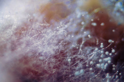 Full frame shot of water