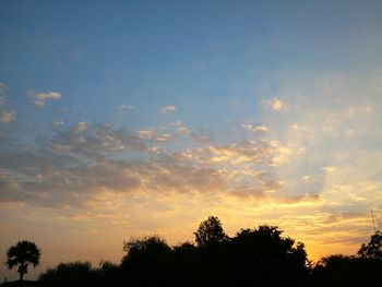 Low angle view of silhouette trees against sky at sunset