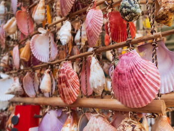 Traditional colorful home decorations made from different shape and color seashells