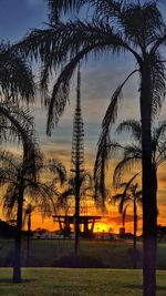 Silhouette trees against sky during sunset