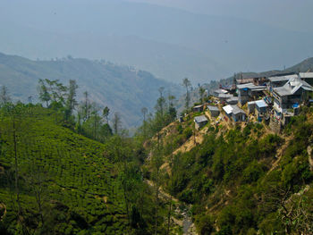 High angle view of trees and buildings against sky