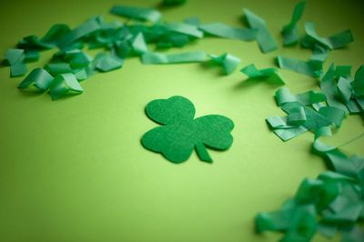 High angle view of leaf with confetti on green background