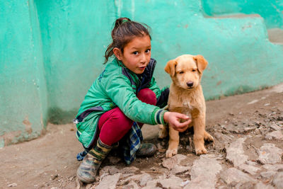 Portrait of cute dog sitting outdoors