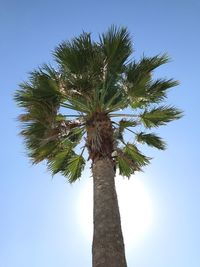 Low angle view of palm tree against clear blue sky