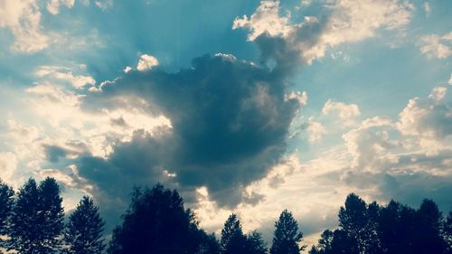 Low angle view of trees against cloudy sky