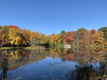 Reflection of trees in lake against clear blue sky