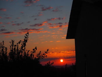 Silhouette of trees at sunset