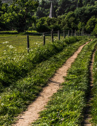 Footpath amidst trees on field