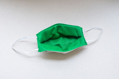 High angle view of green leaf on white background