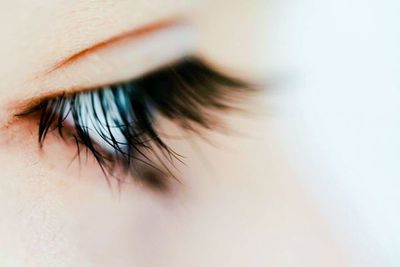 Close-up of human eye