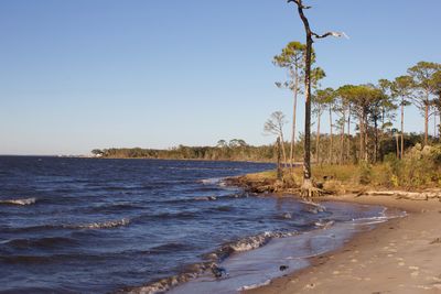 Scenic view of beach against clear sky