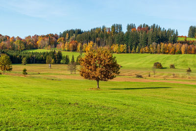 Autumn landscape in bavarian alps