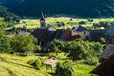 La compote in savoie in france