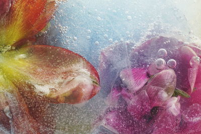 Full frame shot of ice cream on wet glass