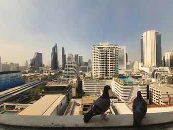 People sitting on modern buildings in city against sky