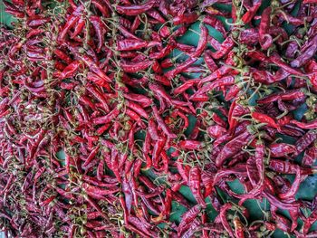 Full frame shot of red berries