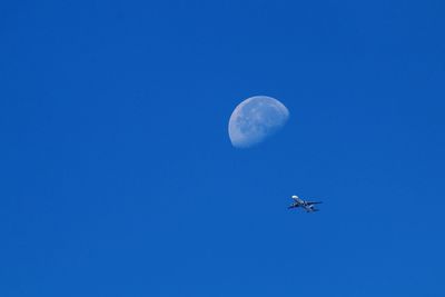 Low angle view of airplane flying with moon in background