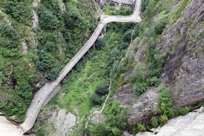 High angle view of bridge amidst trees in forest