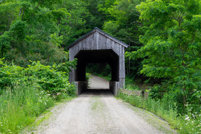 Road leading towards bridge in forest