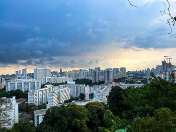 Trees and buildings against sky during sunset