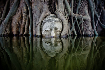 Close-up of statue by water against tree trunk 
