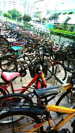 Bicycles parked in city