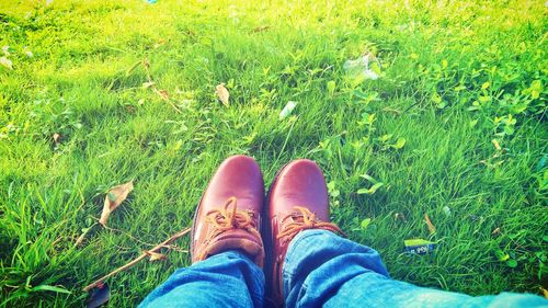 Low section of person standing on grassy field