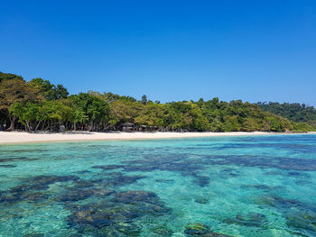 Scenic view of sea against clear blue sky