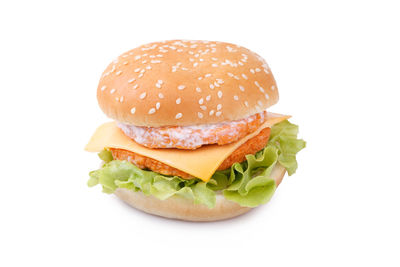 Close-up of burger against white background