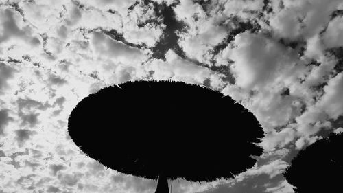 Low angle view of silhouette against sky