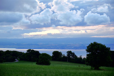 Scenic view of field against sky