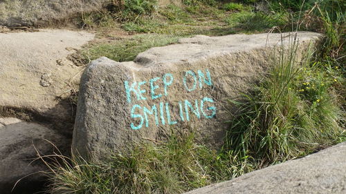 Close-up of text on grass