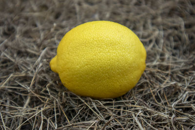 Close-up of yellow fruit