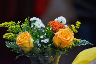 Close-up of orange flowers blooming outdoors