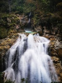 Scenic view of waterfall in forest