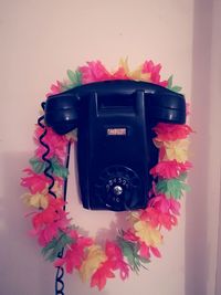 Close-up of pink flowers
