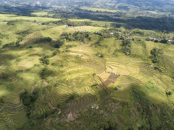 High angle view of agricultural field