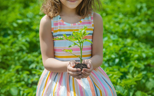 Midsection girl holding sapling