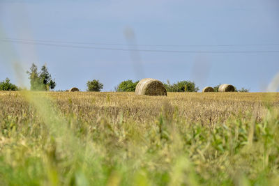 Hay bales on field against sky