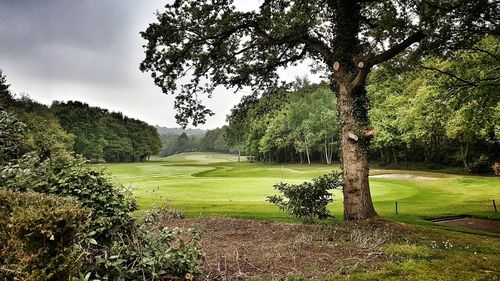 View of golf course against sky